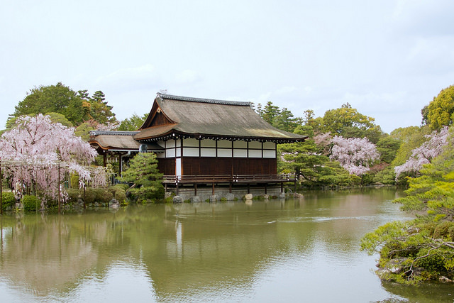 Cherry Blossom Viewing_e0119166_17542991.jpg