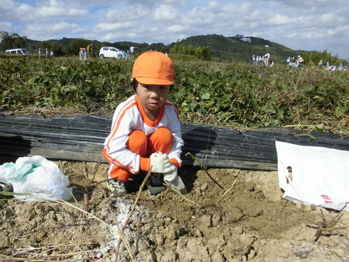 いもほり遠足_e0119166_1630436.jpg