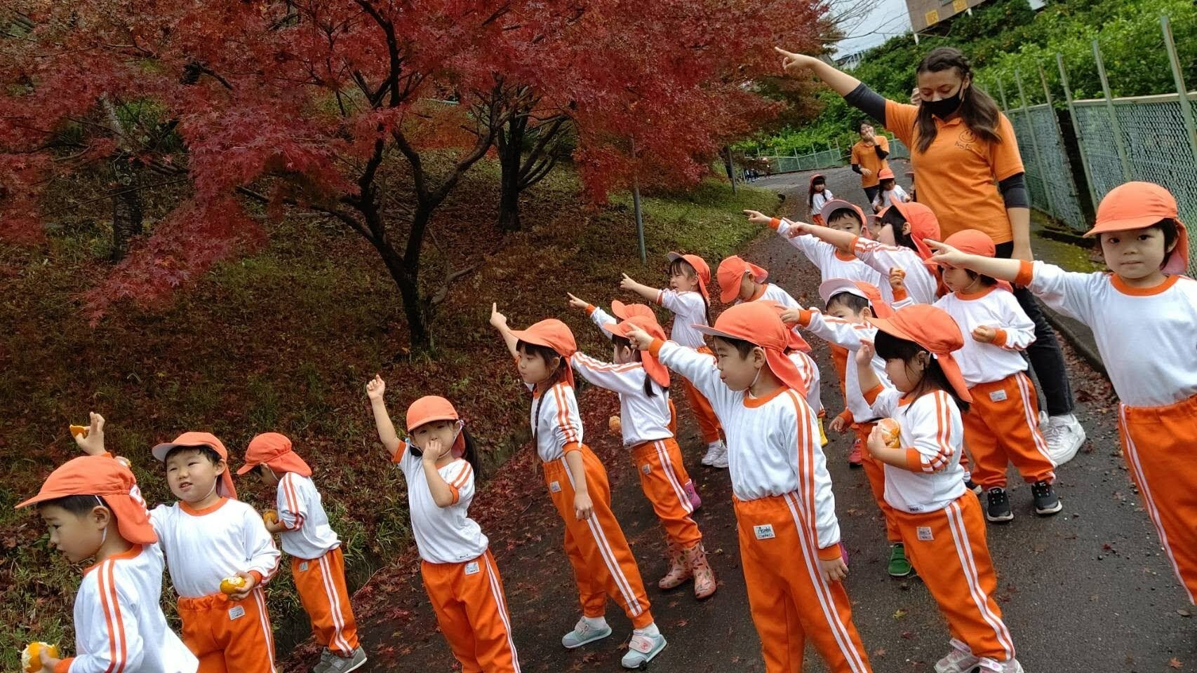 みかん狩り　Orange Picking_e0119166_16582595.jpg